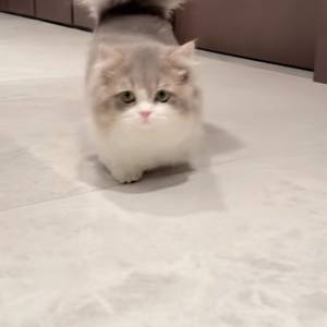 。。。。。