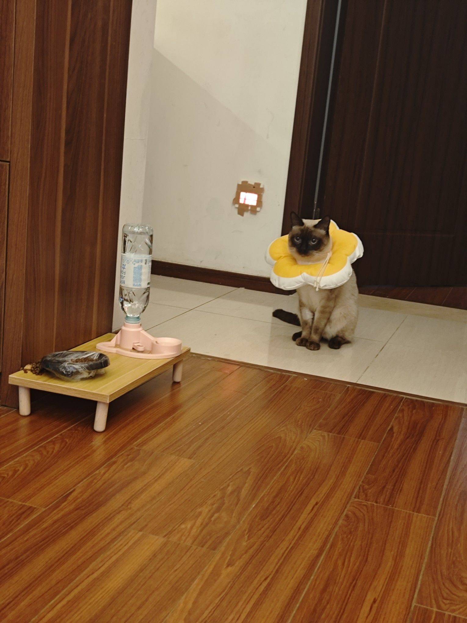 life_photo_4