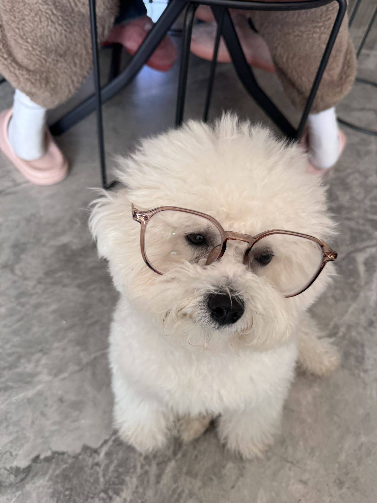 Fancy