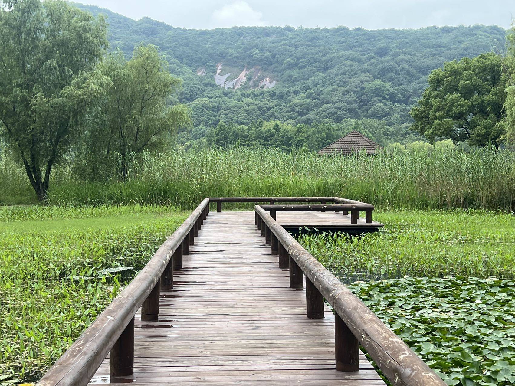 Qin.