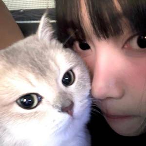 猫猫咪呀