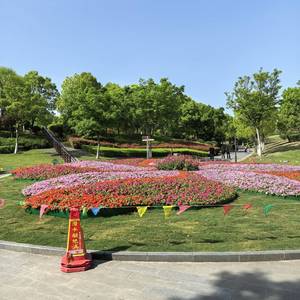 万川入海