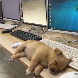 转租
