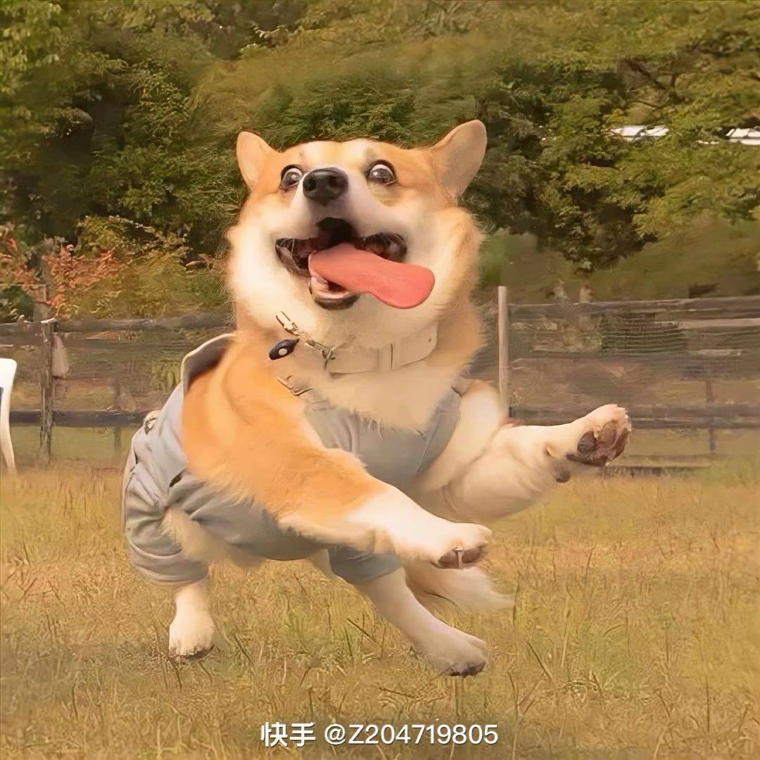 埖埖
