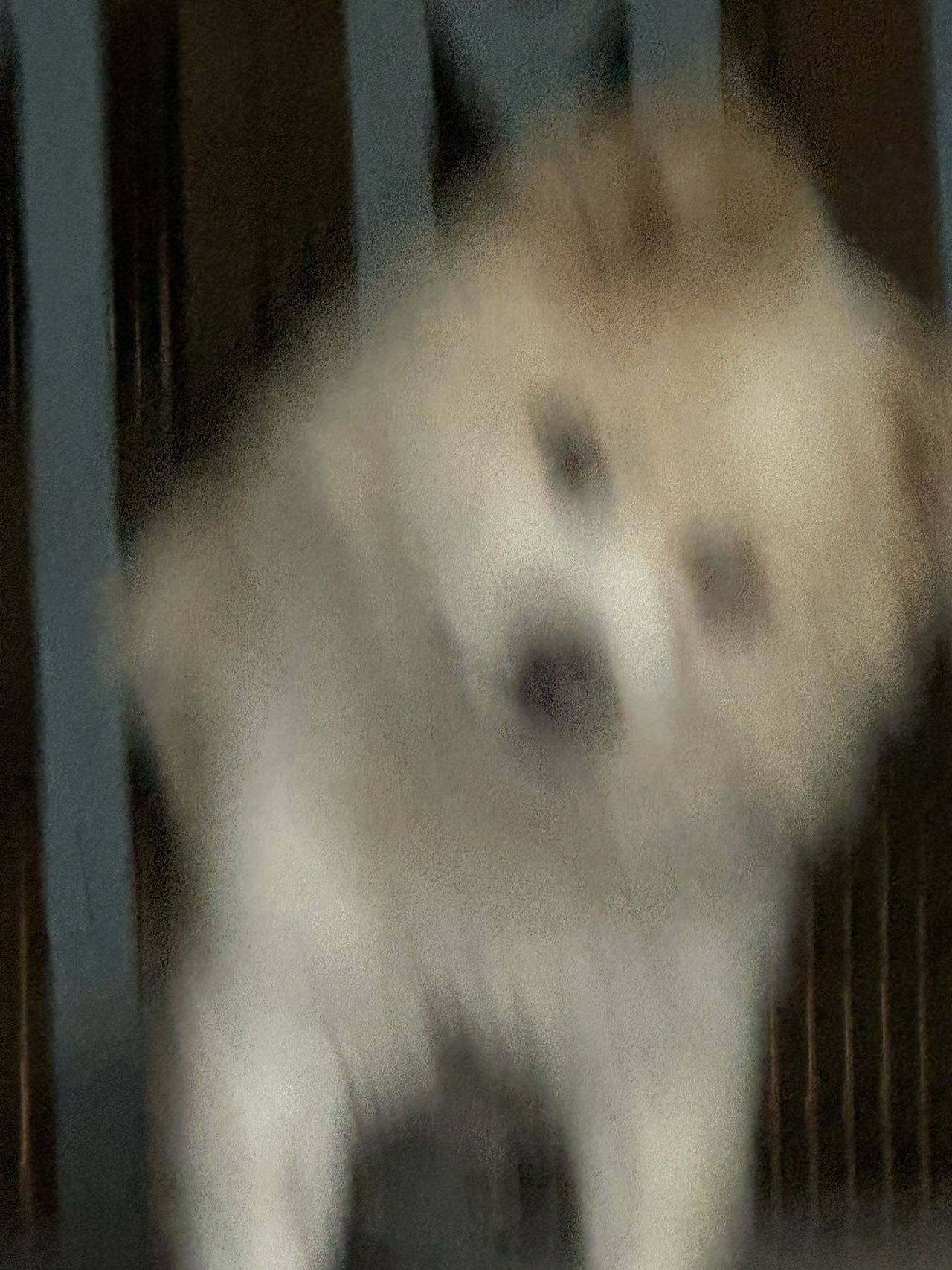 云