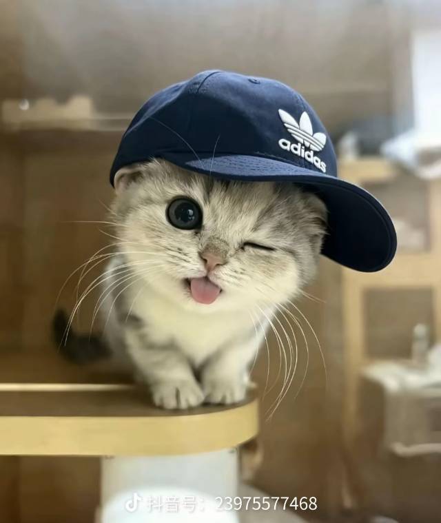 嘻嘻嘻嘻嘻嘻嘻