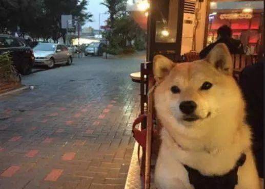 十一