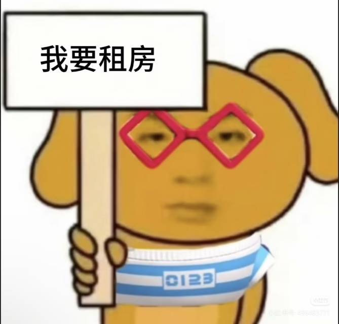 小马