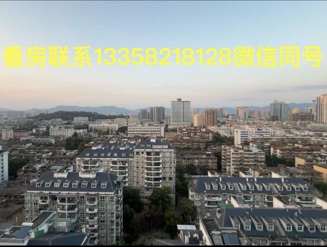 海派王子