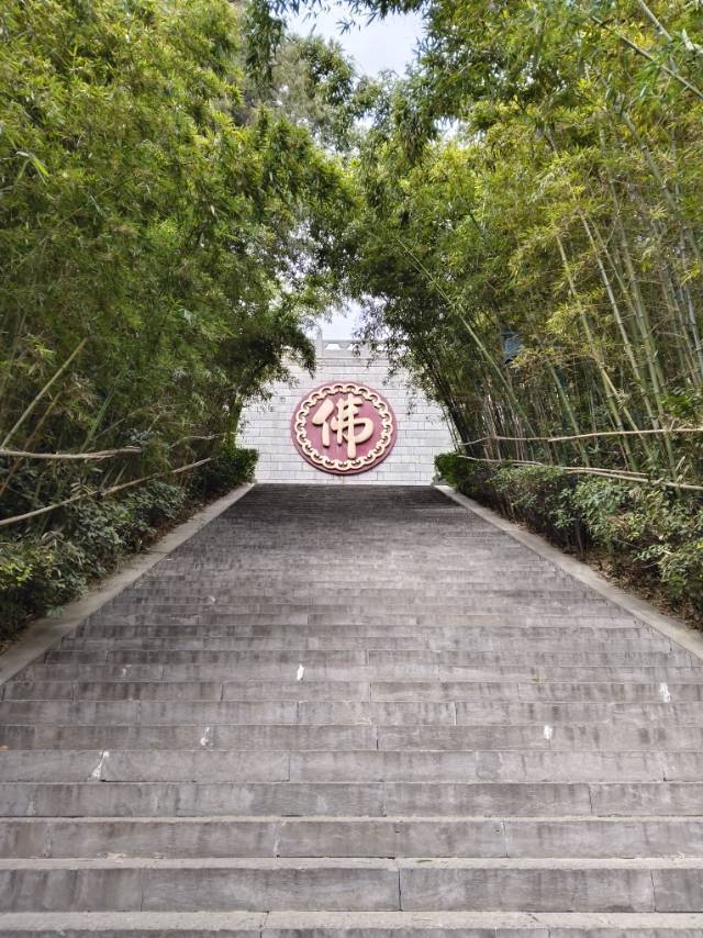 云龙湖畔