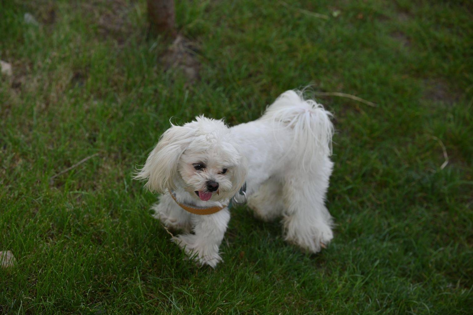 life_photo_2