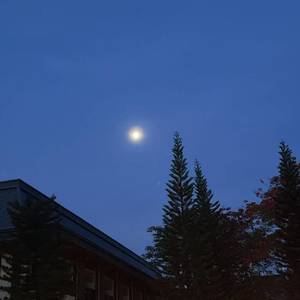 燕燕