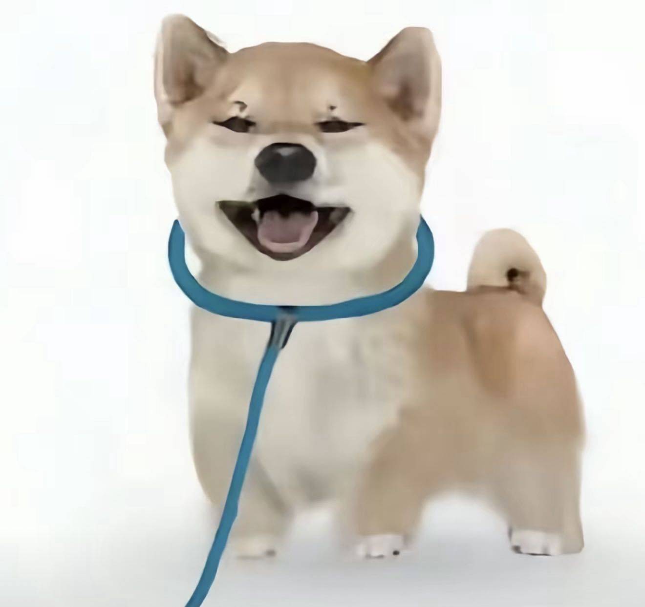 嘻嘻