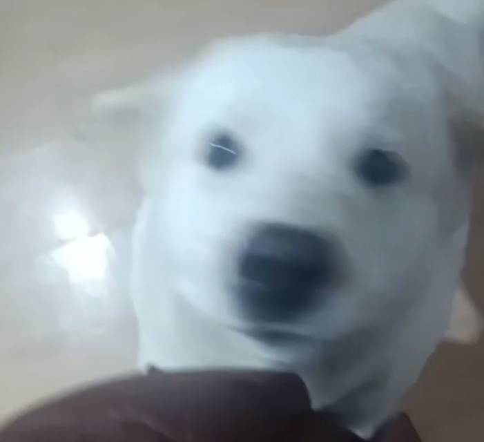 简船长