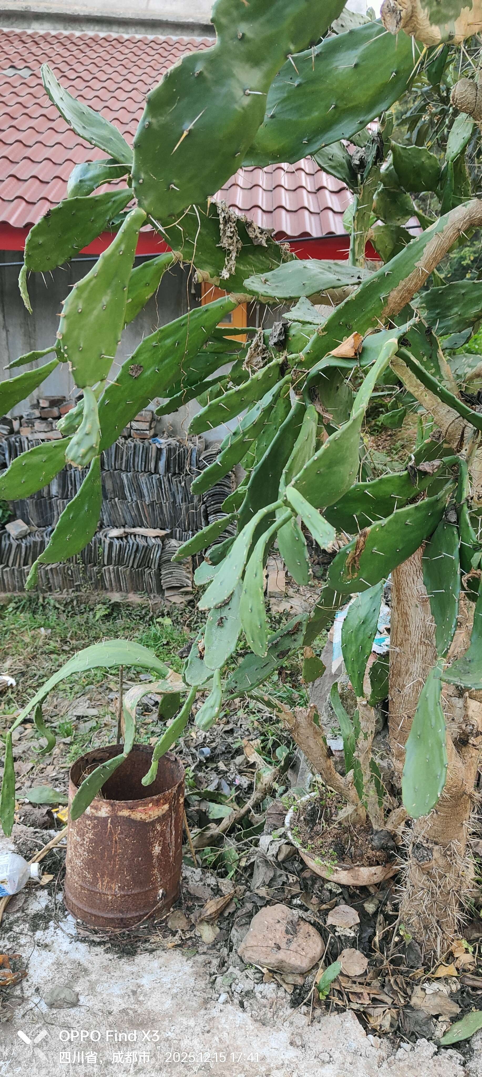 你好