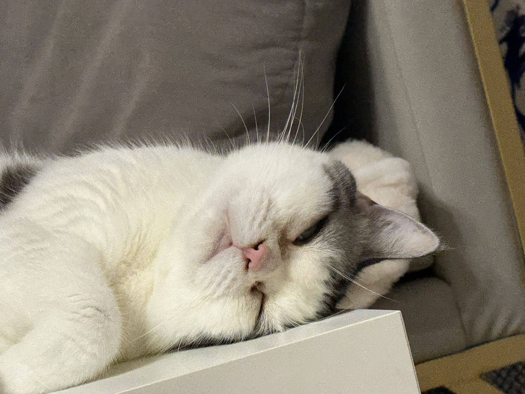 ：）