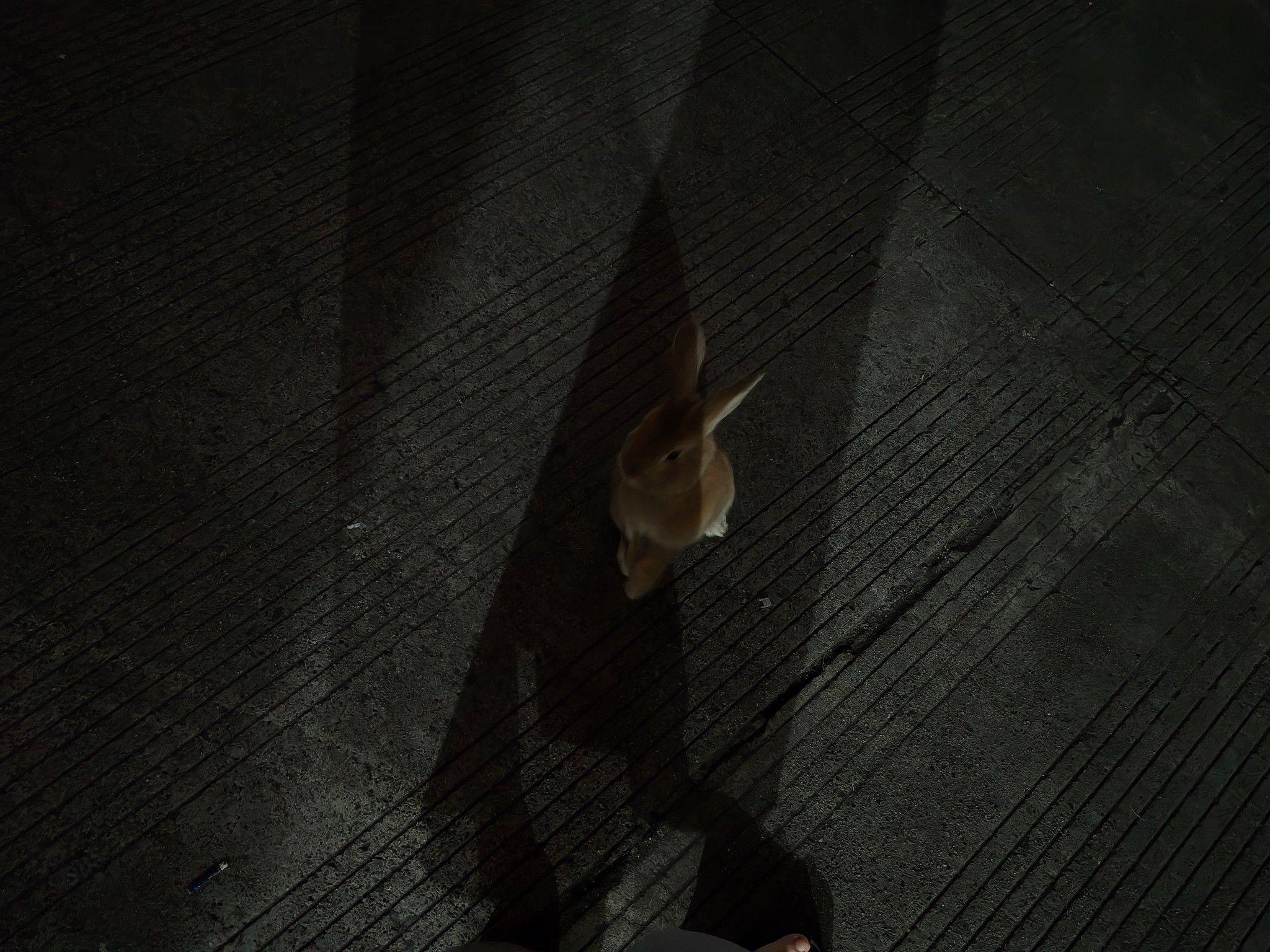 柏银