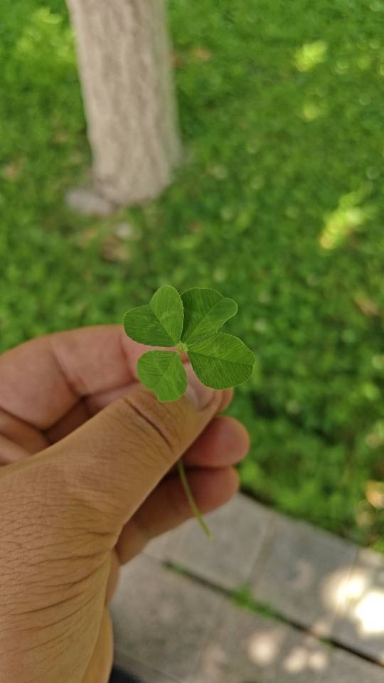 dx