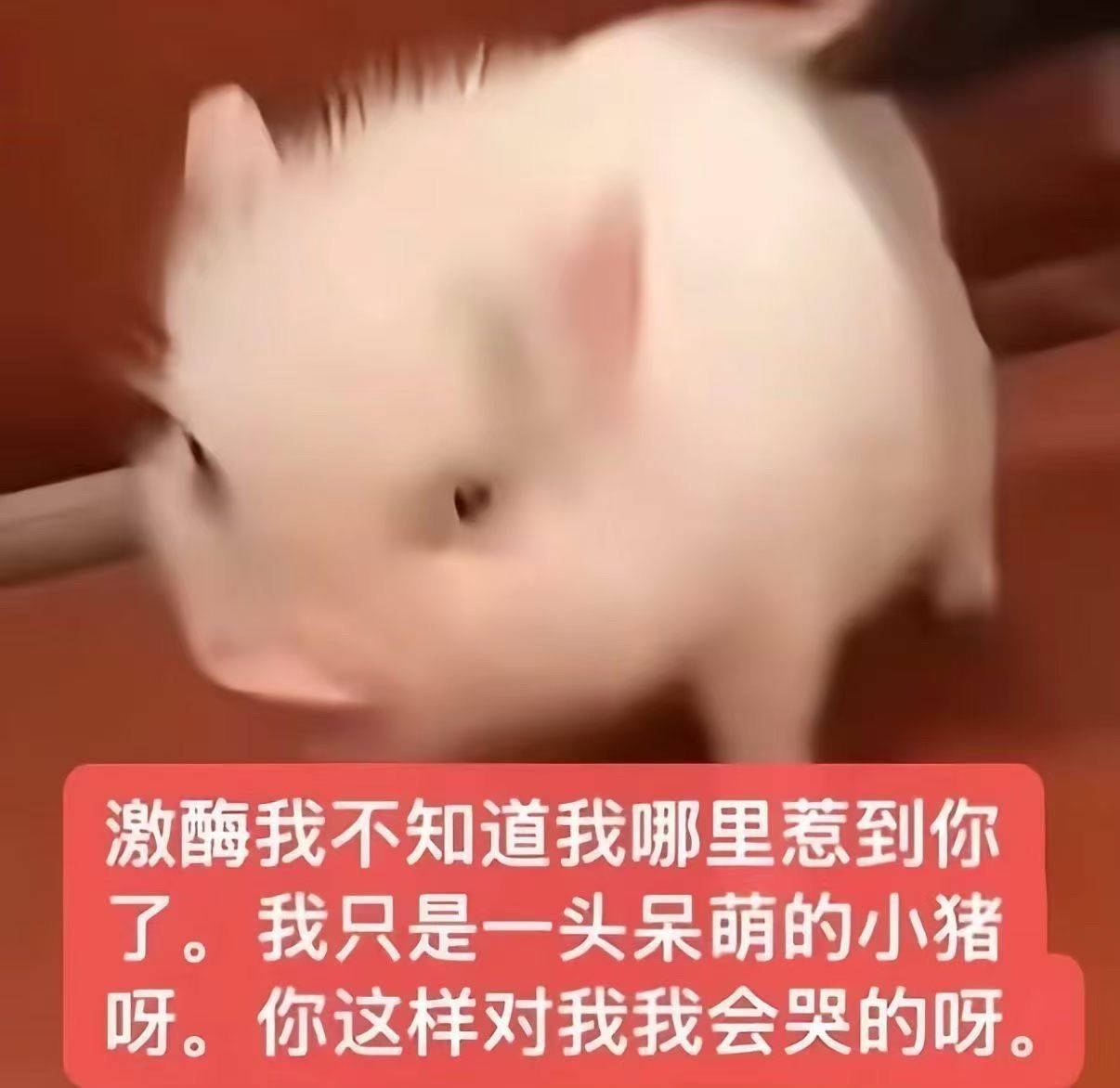 优