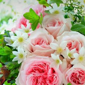 花惜颜