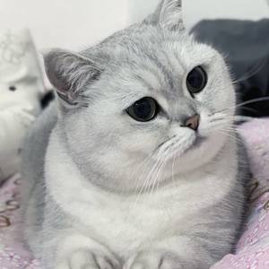 小柒同学