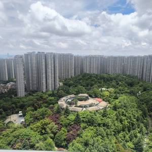 世纪城龙贤