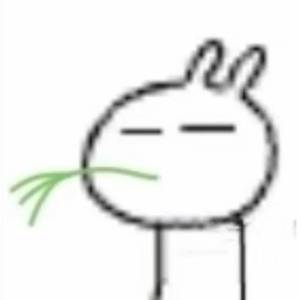 wiki
