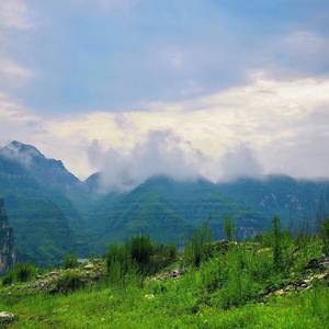 zy