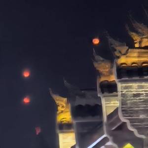 我本将心向明月