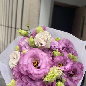快乐花花