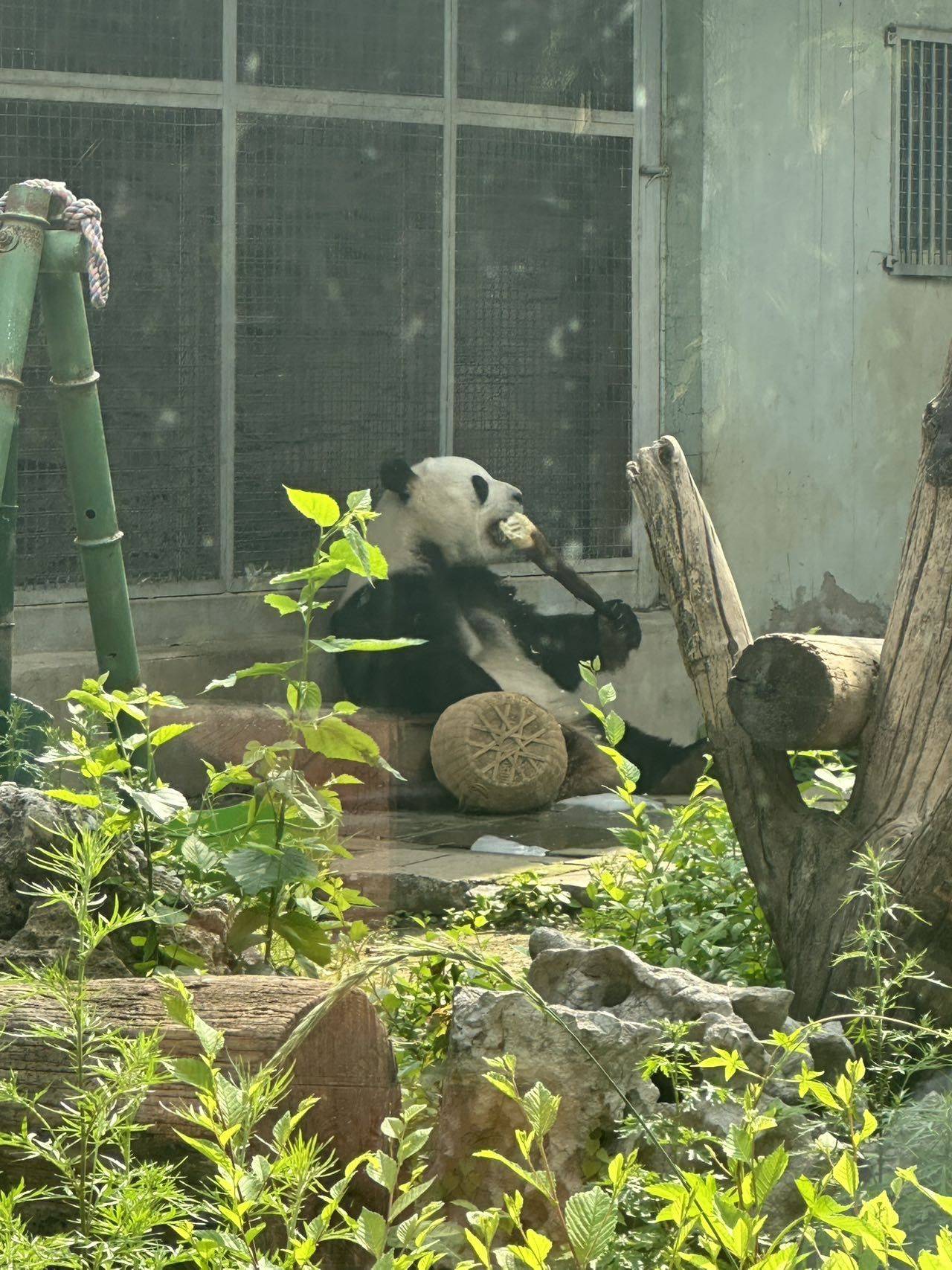 锦年🌞