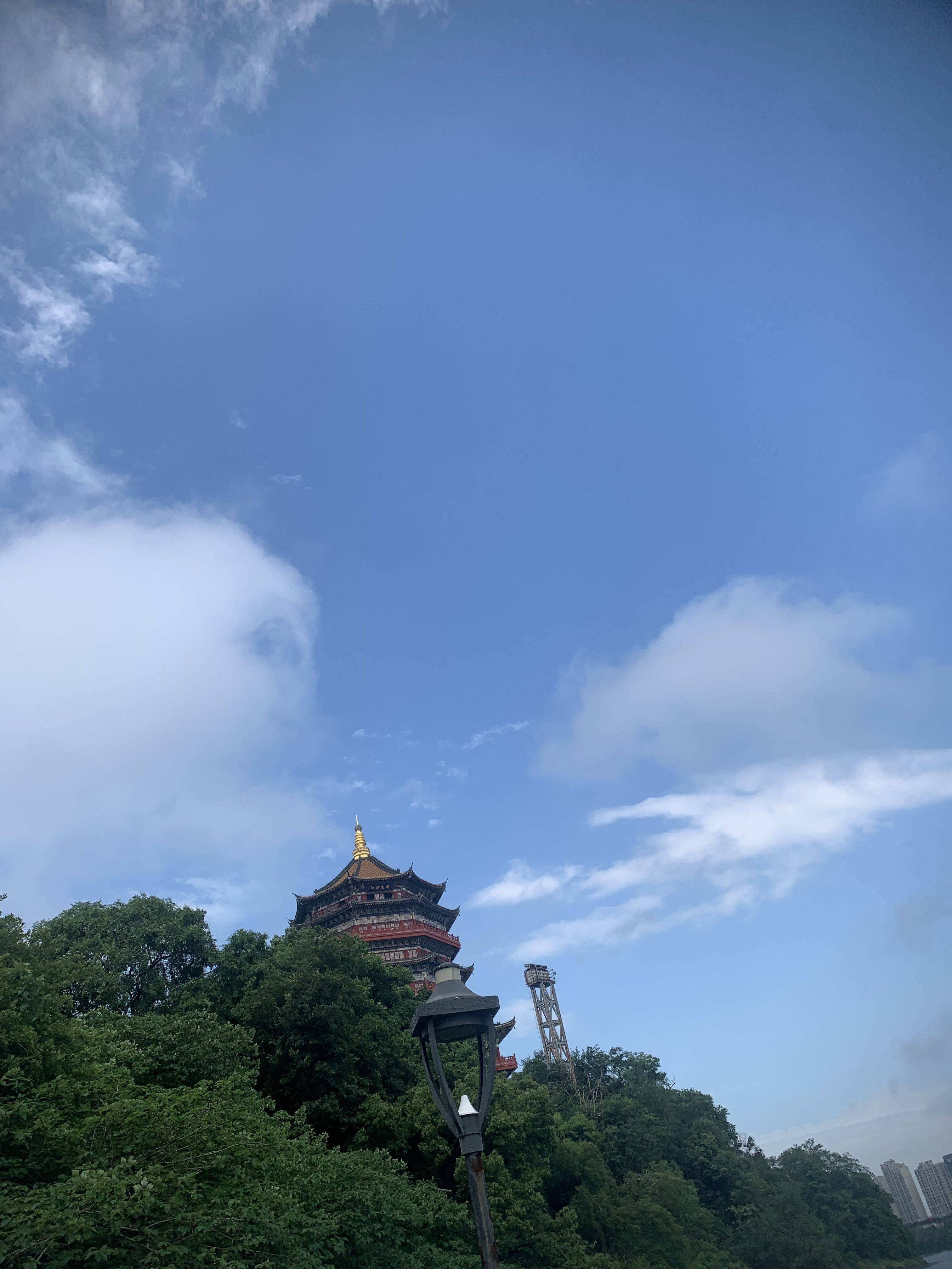 life_photo_0