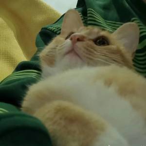 77