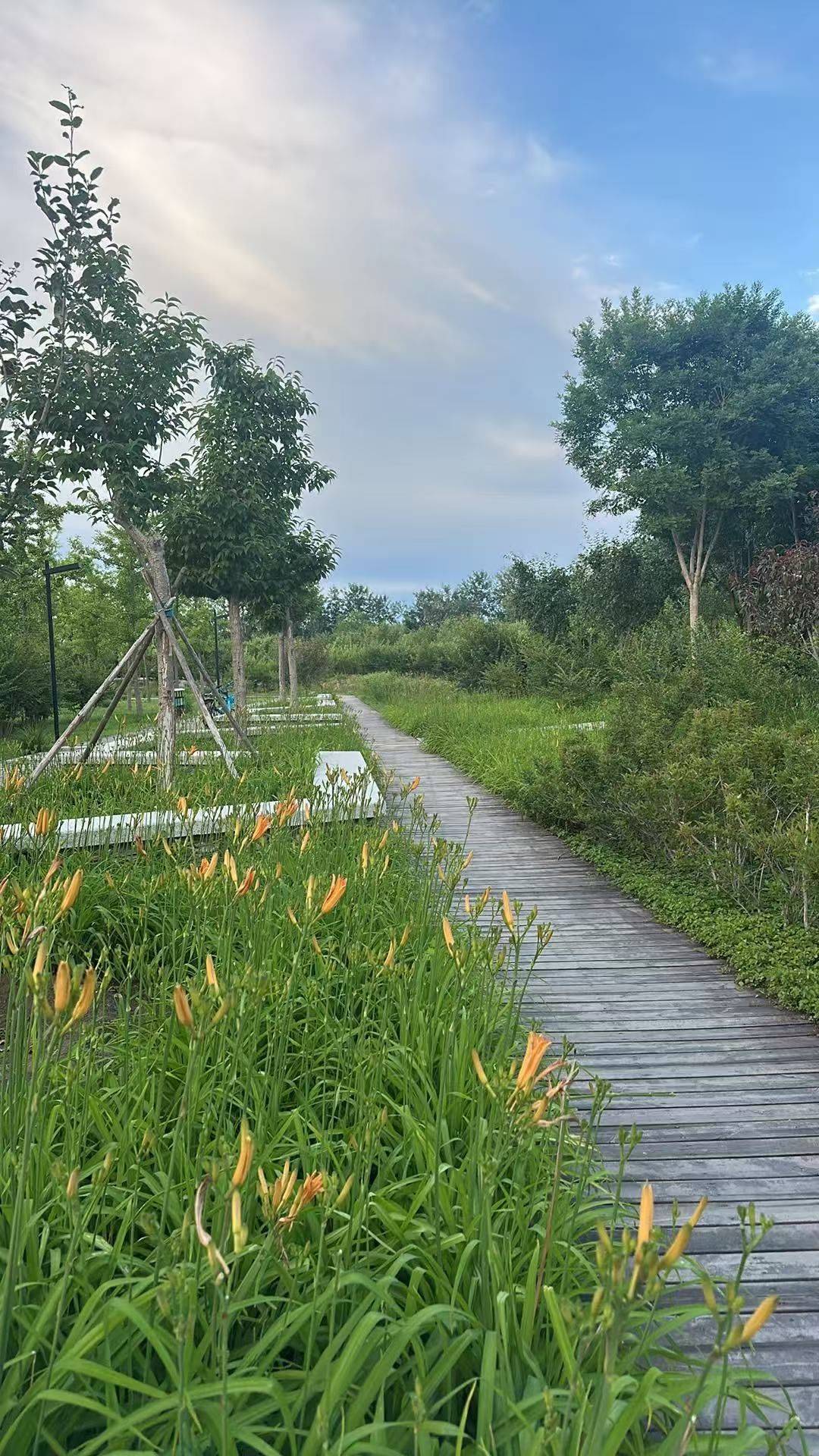 房东直租