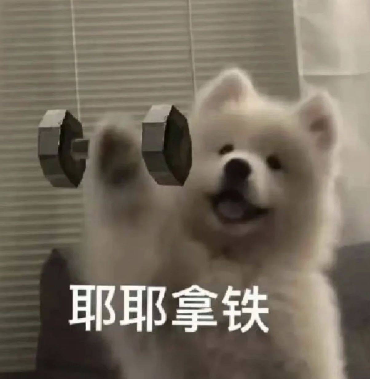 666