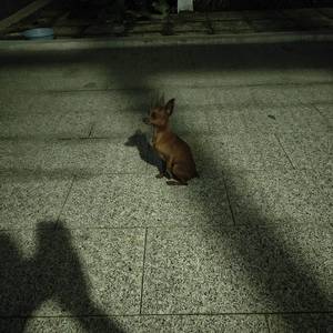 年度好房东