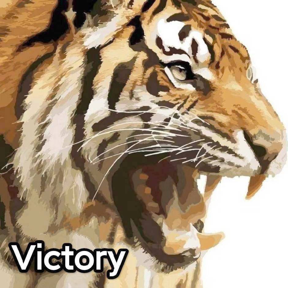 Victory