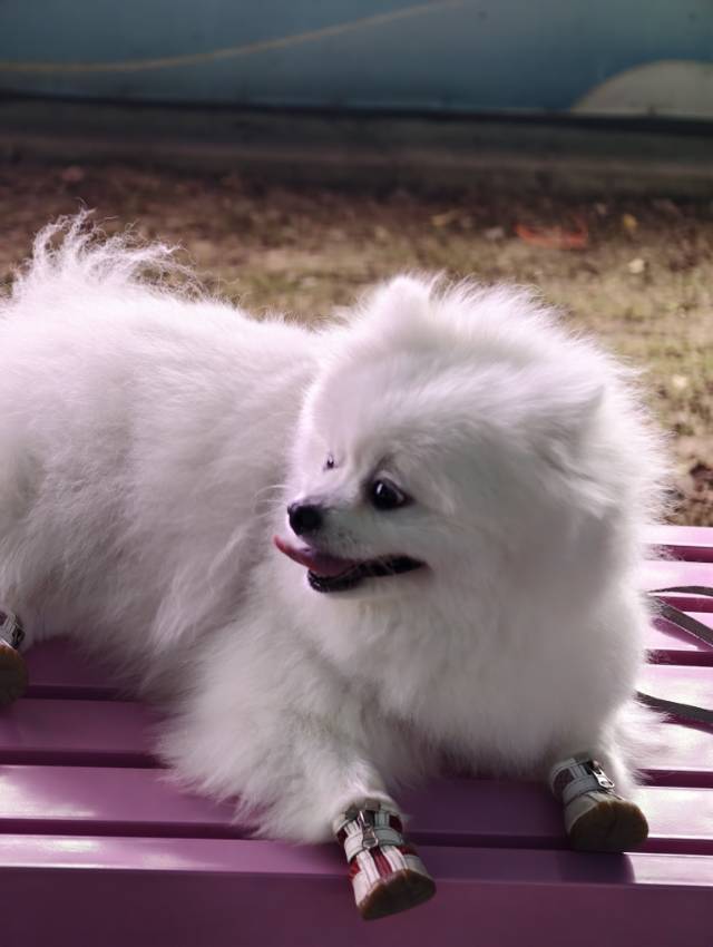 hhhh