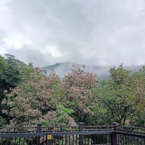 西暖