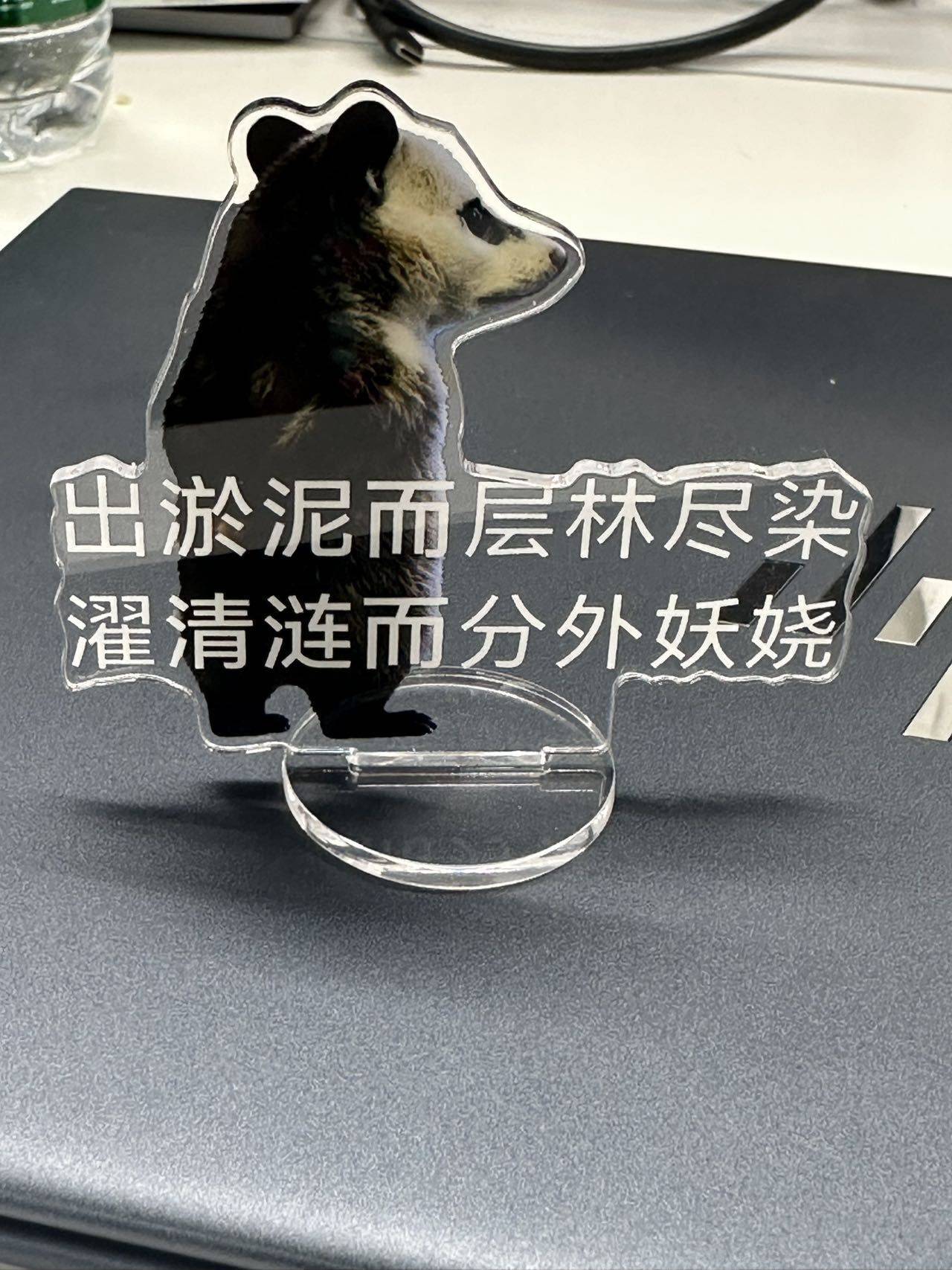 11yy