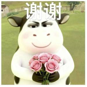 念南北
