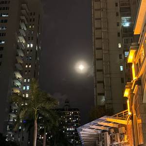 求转租