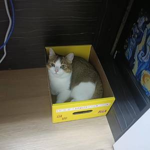 爱护身体