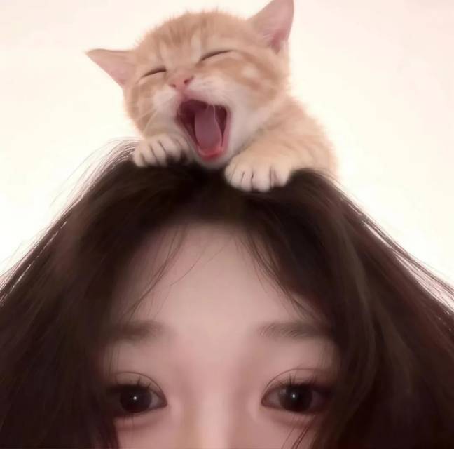 汤圆