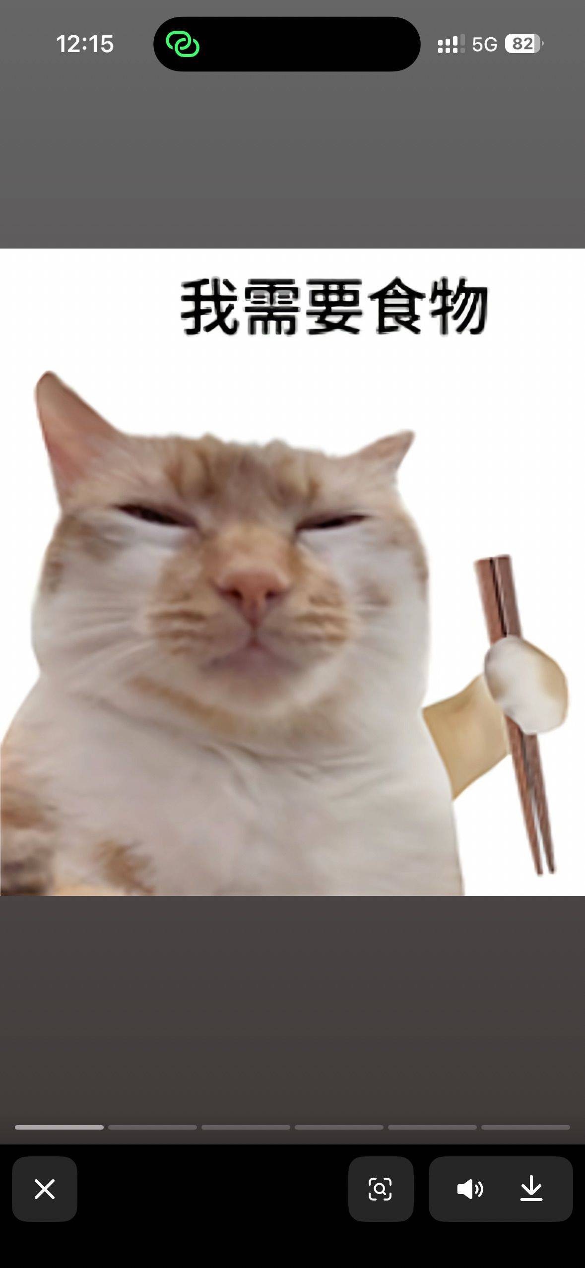 乐乐
