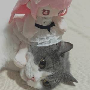 谷雨