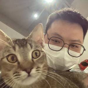 醒不来的死肥猫