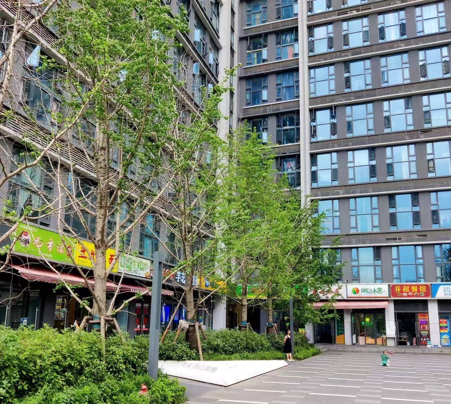 长沙麓谷公寓房东