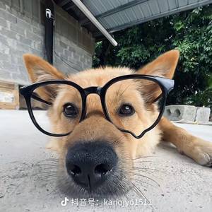 kim