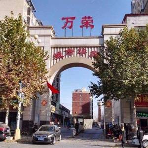 杨